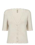 Sc-Dollie Cream Soyaconcept