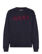 Graphic C-Neck Sweat Blue GANT
