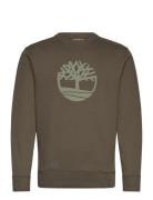 Tree Logo Crew Neck Sweatshirt Green Timberland