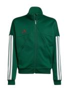 J Hot Ttop Green Adidas Sportswear