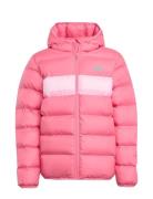 J Sd Jkt Pink Adidas Sportswear