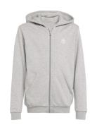 Full Zip Hoodie Grey Adidas Originals