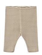 Jersey Pants Silas Yellow Wheat