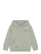 Hoodie Backprint Green Daily 7