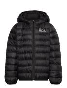Down Jacket Black EA7