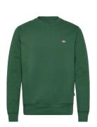 Oakport Sweatshirt Green Dickies