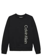 Terry Side Graphic Cn Sweatshirt Black Calvin Klein