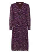 Celya Purple SUNCOO Paris