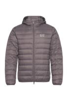 Down Jacket Grey EA7