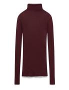 Massachusetts Burgundy American Vintage