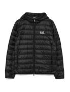 Down Jacket Black EA7