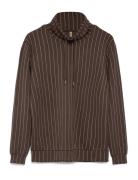 Sc-Siri Brown Soyaconcept