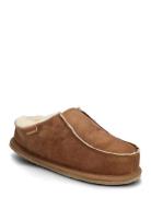 Richard Tofflor Brown Shepherd