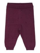 Pants Knit Purple Fixoni