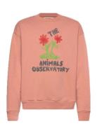 Flowers Dusty  Bear Sweatshirt  THE ANIMALS OBSERVATORY