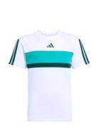 J 3S Tib T White Adidas Sportswear