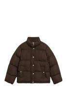 Active Cloud Jacket Brown GANT