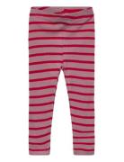 Tnsbrie Rib Leggings Pink The New