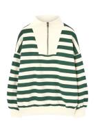 Stripes Freen Blowfly Sweatshirt Green THE ANIMALS OBSERVATORY