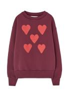 Hearts Browned Farnet Bear Sweatshirt Burgundy THE ANIMALS OBSERVATORY
