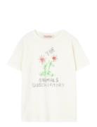 Flowers White Rooster T-Shirt Cream THE ANIMALS OBSERVATORY