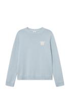 Wwtay Blue WOOD WOOD