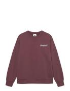 Wwjames Crew Neck Aaneue 25219 Red WOOD WOOD