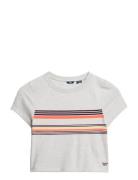 Vintage Stripe Crop Tee Grey Superdry