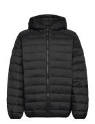 Jjebradley Light Puffer Hood Jnr Black Jack & J S