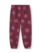 Stars Dromedary Sweatpants Burgundy THE ANIMALS OBSERVATORY