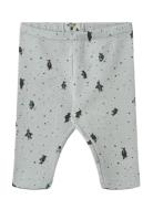 Jersey Pants Silas Blue Wheat