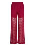 Texas Lace Pants Burgundy Noella