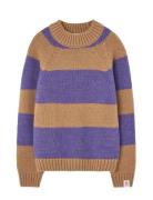 Stripes Beife Boxfish Sweater Beige THE ANIMALS OBSERVATORY