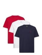 Cotton Jersey Crewneck Tee 3-Pack Patterned Ralph Lauren Kids