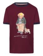 Polo Bear Cotton Ringer Tee Burgundy Ralph Lauren Kids