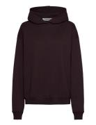 Cph Hoodie 7 Cotton Burgundy Burgundy Copenhagen Studios