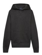 Fleece Hoodie Grey Ralph Lauren Kids