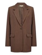 Sc-Ann Brown Soyaconcept