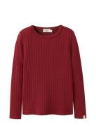 Nmfrita Sig Ls Slim Top Lil Burgundy Lil'Atelier