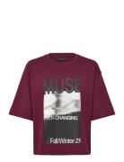 Cmmuse-Tee Burgundy Copenhagen Muse