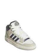 Rapid Court Mid J Beige Adidas Sportswear
