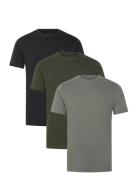 Brace Ss Crew 3 Pk Patterned AllSaints