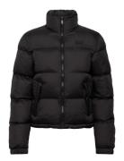 Non Hooded Tech Padded Jkt Black Superdry Sport