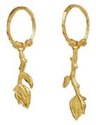 Rory Earrings Gold Maanesten
