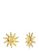 Sun Studs L Gold Edblad