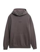 Micro Logo Hood Grey Superdry