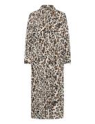 Tinellapw Dr Brown Part Two