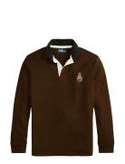 Classic Fit Polo Bear Rugby Shirt Brown Polo Ralph Lauren