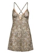 Eudora Dress Beige Dorina