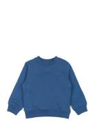 Ppdun Sweat Shirt Blue Petit Piao